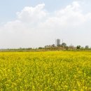 매향리 평화생태공원 이미지