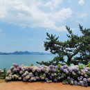 수국칼국수 - 천안시 동남구 터미널3길 12-1 | 수국칼국수