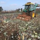 대정농업협동조합 농산물산지유통센터 이미지