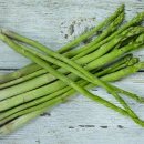 올바른영양 이미지