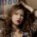 포프 이미지