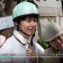 코타팸 이미지