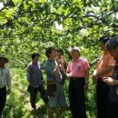 배대흥농장 이미지