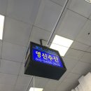 🌟#58🪼[노량진]영신수산 해산물모듬 5만원 내돈내산 솔직후기