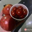 아리온모텔 이미지