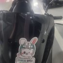 드림성남
