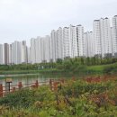 반듯한치과의원 이미지