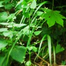 무주화원 이미지