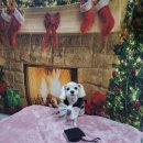 새함안공인중개사사무소 이미지