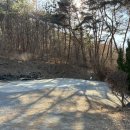 줄라이 밀양 이미지