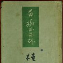 손큰새색시
