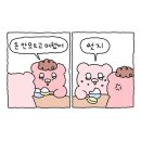 8월 18일 ~8월 28일 일상(영일대샌드페스티벌, 영화 빅토리)