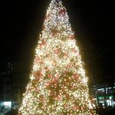 관악구청 이미지