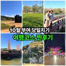 백제문화단지-부소산성-궁남지-정림사지-백제문화단지 | 10월 부여 당일치기 여행 궁남지 낙화암 고란사 백제문화단지까지 찐후기