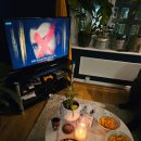 레고닥터A | 3월 한국행 비행기표, 축구하고 친구들이랑 traitors, 맨유 vs 맨시티 더비, 28년 후: 뼈의 사원 후기