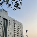 여울목 게스트하우스 | 어리버리 공주님들 제주 여행 Day2/ 스누피가든, 월정리갈비밥, 월정해변, 여울목게스트하우스, 월스낵