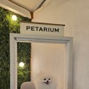 펫타리움 청담점 이미지