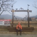 가야산오리 이미지