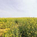 봄·여름·가을 코스 이미지