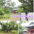 도동유통 이미지