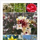 황토골농장 이미지