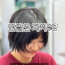샤기헤어 | 대전에서 숏컷 고민 끝! 고객이 직접 인정한 샤기 보브컷