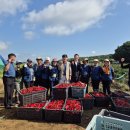 안면도농협 이미지