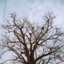 소록소록 이미지