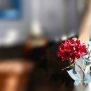 소소한풍경 이미지