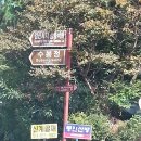 현주웰빙