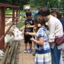 ㈜모두관광여행사 이미지