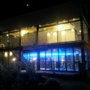 커피나무 꽃향기 이미지