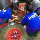 해바라기 도시락 이미지