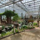 선바위(분재전시관) 이미지