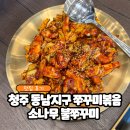 소나캣 | 청주 용암동 쭈꾸미볶음 맛집 소나무 불쭈꾸미, 갑오징어볶음 후기