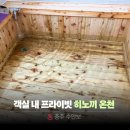 (주)전주영화호텔 | 수안보 온천 호텔 가족탕 후기｜프라이빗 히노끼탕 객실 온천욕