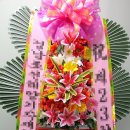 디씨인터네셔널