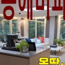 에버공인중개사사무소 이미지
