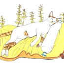 커피타는 고양이 이미지