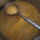 엑스포아구 이미지