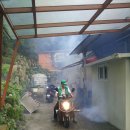 제8차방역 8월9일(영어마을) 이미지