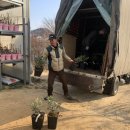 광일농원 이미지