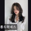 살롱드봄날 | 강남 미용실 추천 살롱드미네스 트렌디함과 유지력 모두 만족