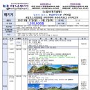 라이언여행사