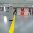 용인대송라태권도 이미지