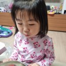 배파파과일 이미지
