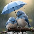 1구역 [4.29(화)윤봉길의사 상해홍구공원거사 숭모제 봉사활동 참석했습니다~] 이미지