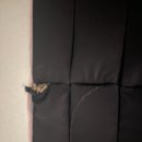 유승골프아카데미 이미지