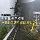 동백공원 대체 | 부모님과 국내여행 가볼 만한 곳 - 강원도 원주 소금산 그랜드밸리 출렁다리 울렁다리