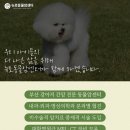 뉴로동물암센터 이미지